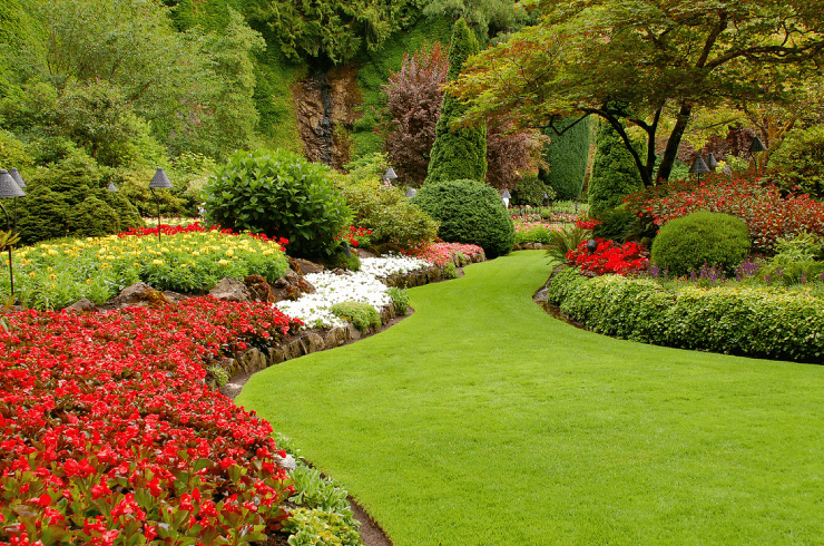 Apex Lawncare & Landscape